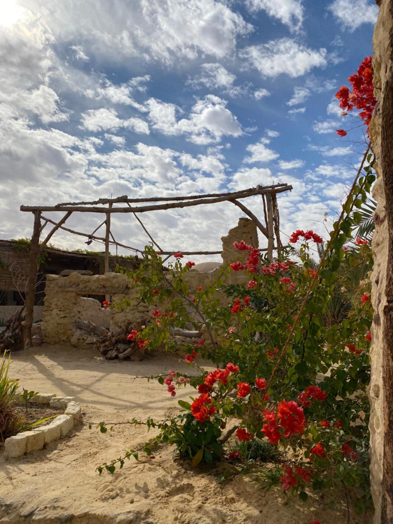 Villa Grand Siwa Siwa Oasis Exterior foto